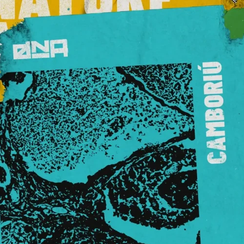 DNA Art Car Camboriú