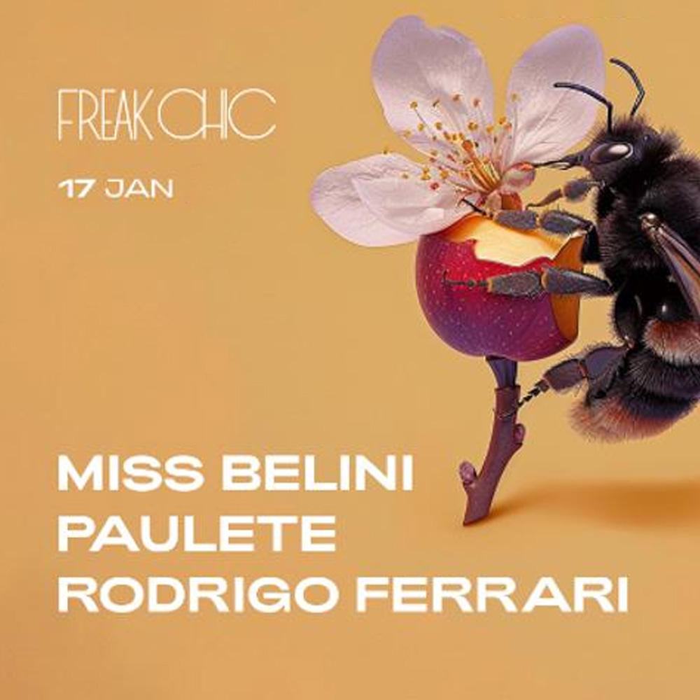 D-Edge | Freak Chic com Paulete + Miss Belini