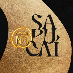 Camarote N1 na Marquês de Sapucaí - Ingressos com desconto