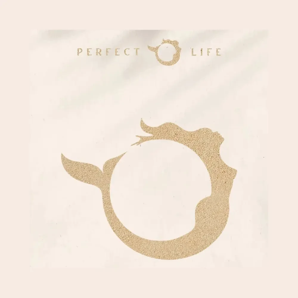 Réveillon Perfect Life - Ingressos com desconto