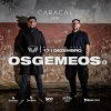 OSGEMEOS no Club Vibe - Ingressos com desconto
