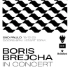 Boris Brejcha in Concert SP