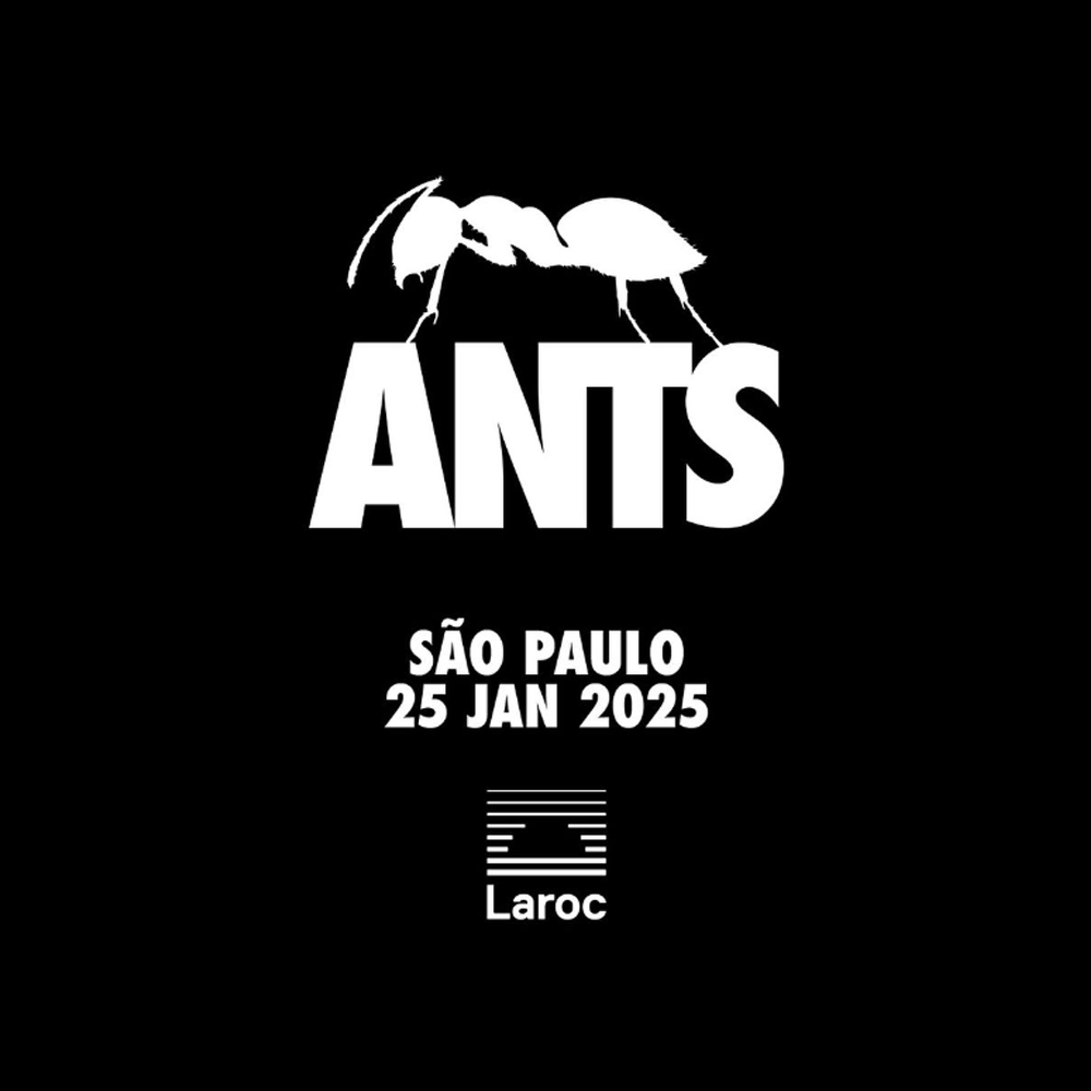 Laroc apresenta Ants | Saiba tudo aqui!