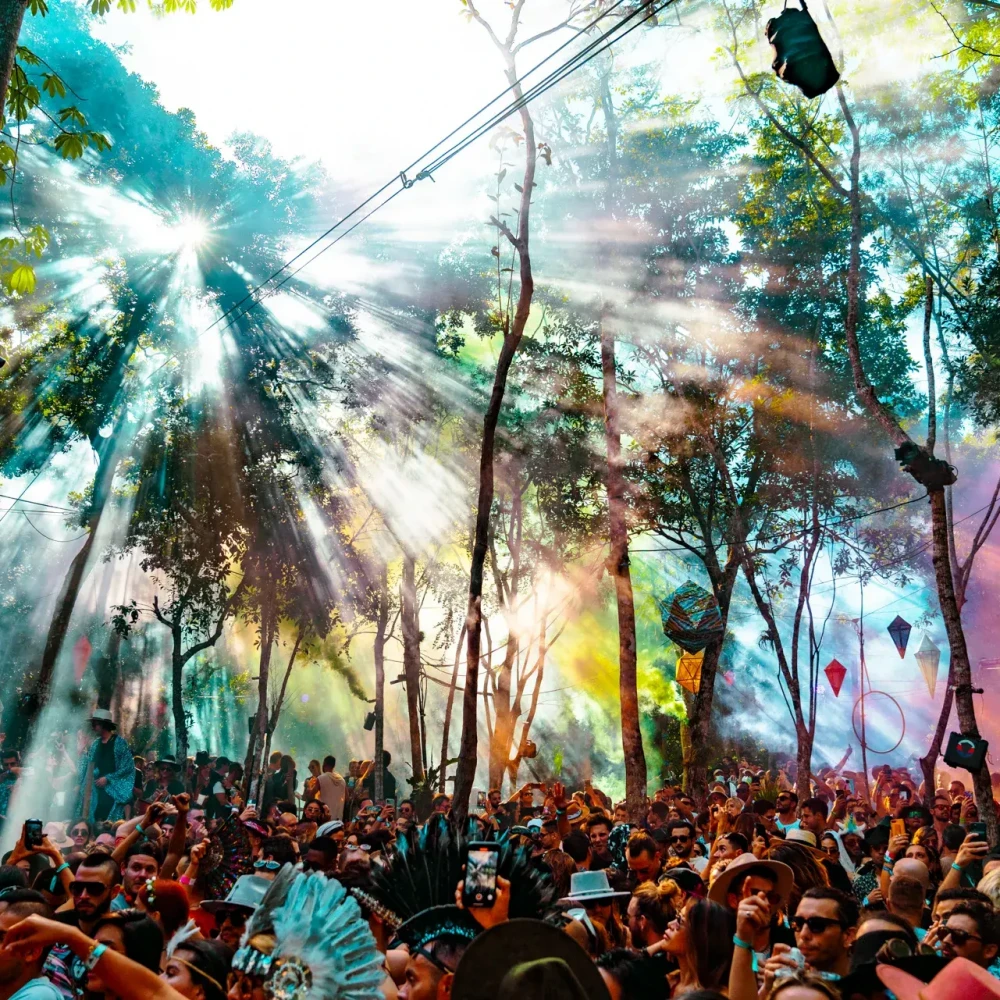 Descrição da Imagem