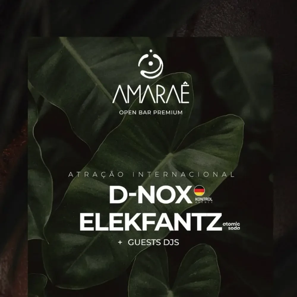 Descrição da Imagem