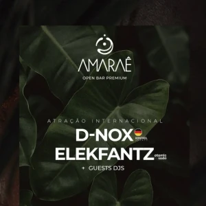 Réveillon Amaraê em Maresias - Conheça mais sobre D-NOX e Elekfantz