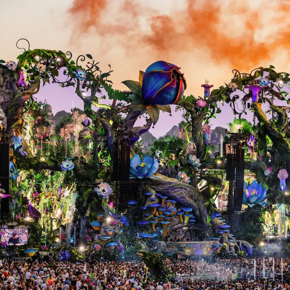 Descrição da Imagem