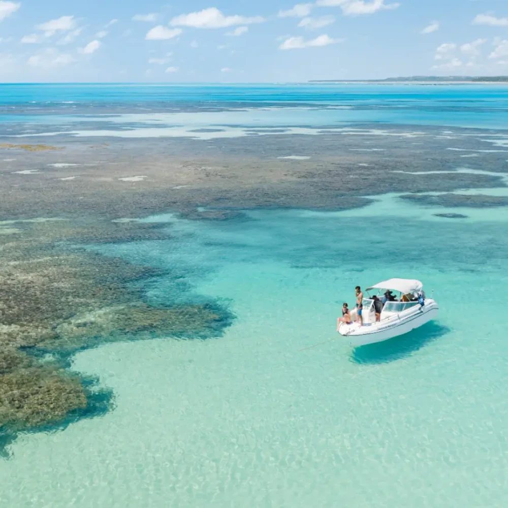 Descrição da Imagem