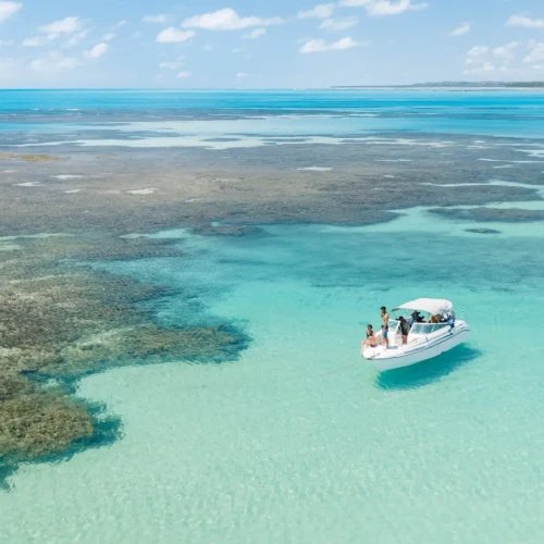 Quanto Custa o Réveillon Mil Sorrisos? Saiba tudo aqui!