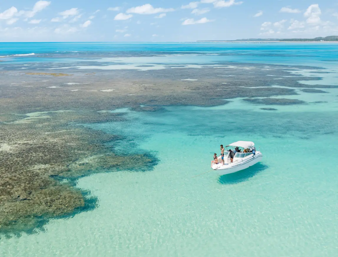 Quanto Custa o Réveillon Mil Sorrisos? Saiba tudo aqui!