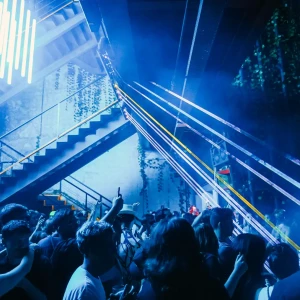 Cat Dealers, Traumer e mais fecham dezembro de 2025 do D-EDGE Rio