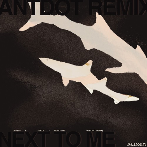 Next To Me (Antdot Remix)