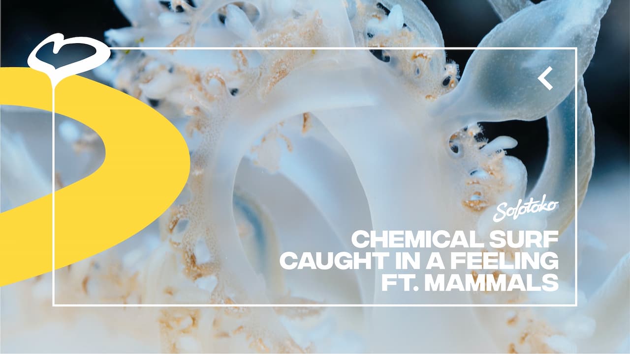 Chemical Surf e Mammals lançam "Caught In A Feeling" pela Solotoko